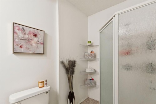 21 Covehaven Gardens Ne, Calgary, AB - Indoor Photo Showing Bathroom