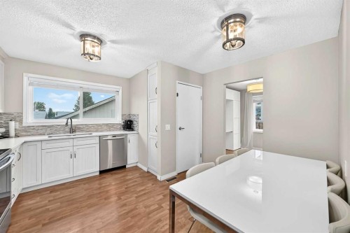 119 Maitland Rise Ne, Calgary, AB - Indoor Photo Showing Kitchen
