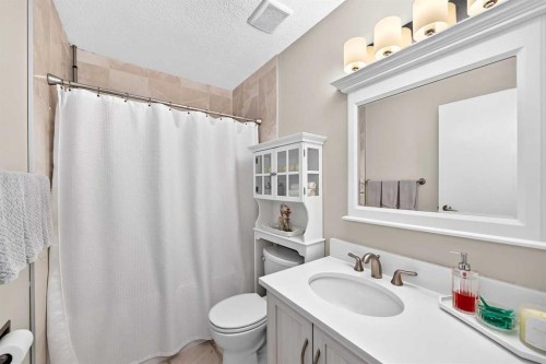 119 Maitland Rise Ne, Calgary, AB - Indoor Photo Showing Bathroom