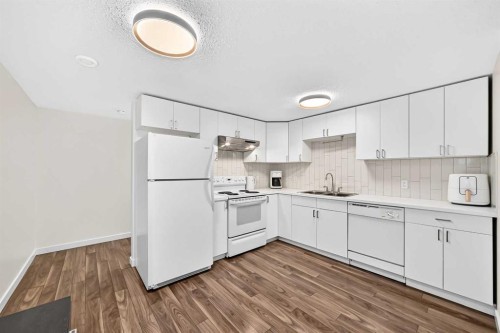 119 Maitland Rise Ne, Calgary, AB - Indoor Photo Showing Kitchen With Double Sink