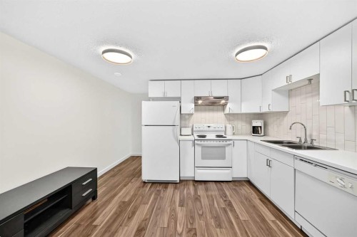 119 Maitland Rise Ne, Calgary, AB - Indoor Photo Showing Kitchen With Double Sink