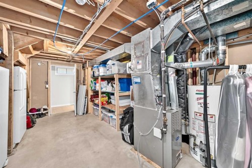 119 Maitland Rise Ne, Calgary, AB - Indoor Photo Showing Basement