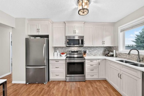 119 Maitland Rise Ne, Calgary, AB - Indoor Photo Showing Kitchen With Double Sink With Upgraded Kitchen