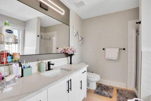 227 Citadel Lane Nw, Calgary, AB - Indoor Photo Showing Bathroom