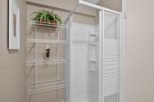 264 Riverview Close Se, Calgary, AB - Indoor With Storage
