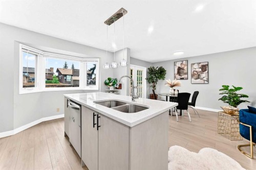 6832 37 Avenue Ne, Calgary, AB - Indoor Photo Showing Kitchen With Double Sink