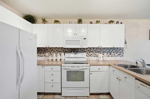 52 Douglas Glen Crescent Se, Calgary, AB - Indoor Photo Showing Kitchen With Double Sink