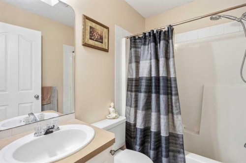 52 Douglas Glen Crescent Se, Calgary, AB - Indoor Photo Showing Bathroom