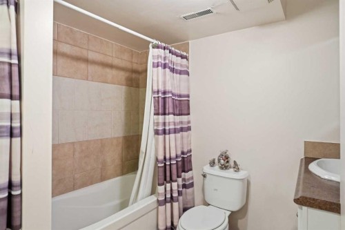 52 Douglas Glen Crescent Se, Calgary, AB - Indoor Photo Showing Bathroom