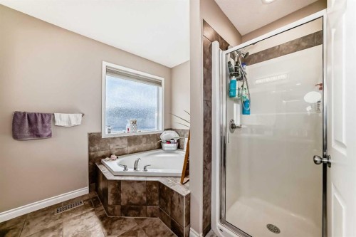 485 Cimarron Boulevard, Okotoks, AB - Indoor Photo Showing Bathroom