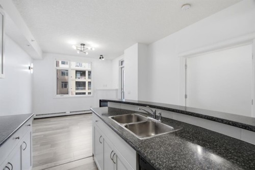 438-930 Centre Avenue Ne, Calgary, AB - Indoor Photo Showing Kitchen With Double Sink
