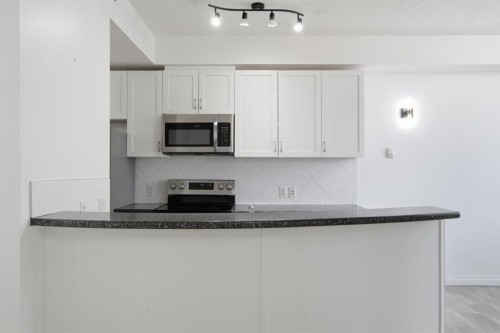 438-930 Centre Avenue Ne, Calgary, AB - Indoor Photo Showing Kitchen