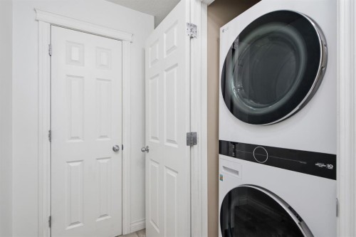 438-930 Centre Avenue Ne, Calgary, AB - Indoor Photo Showing Laundry Room