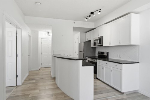 438-930 Centre Avenue Ne, Calgary, AB - Indoor Photo Showing Kitchen