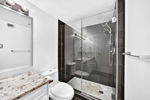 503-8948 Elbow Drive Sw, Calgary, AB - Indoor Photo Showing Bathroom