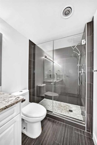 503-8948 Elbow Drive Sw, Calgary, AB - Indoor Photo Showing Bathroom