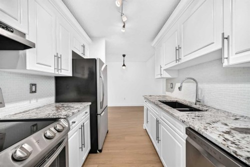 503-8948 Elbow Drive Sw, Calgary, AB - Indoor Photo Showing Kitchen With Stainless Steel Kitchen With Double Sink With Upgraded Kitchen