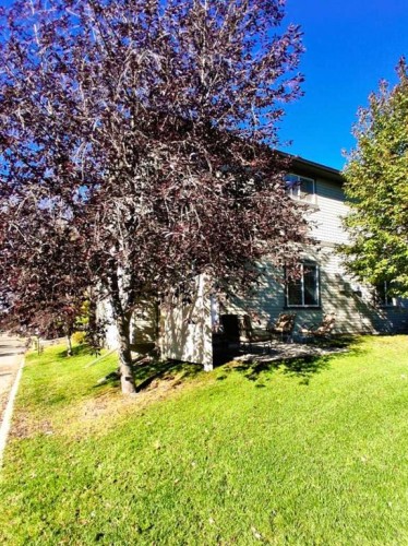 301 Ranch Ridge Meadow, Strathmore, AB - Outdoor