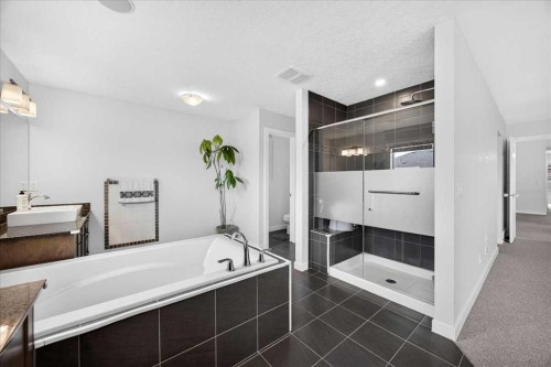 546 Sherwood Boulevard Nw, Calgary, AB - Indoor Photo Showing Bathroom