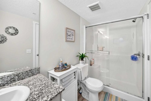 3222-4641 128 Avenue Ne, Calgary, AB - Indoor Photo Showing Bathroom