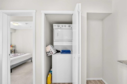 3222-4641 128 Avenue Ne, Calgary, AB - Indoor Photo Showing Laundry Room