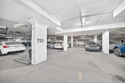 3222-4641 128 Avenue Ne, Calgary, AB - Indoor Photo Showing Garage