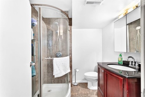1949 Lytton Crescent Se, Calgary, AB - Indoor Photo Showing Bathroom