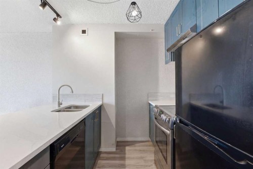 2704-221 6 Avenue Se, Calgary, AB - Indoor Photo Showing Kitchen With Double Sink