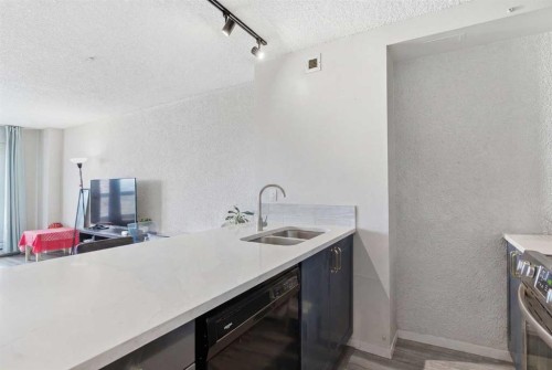2704-221 6 Avenue Se, Calgary, AB - Indoor Photo Showing Kitchen With Double Sink