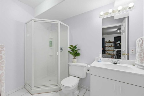 42H Green Meadow Crescent, Strathmore, AB - Indoor Photo Showing Bathroom