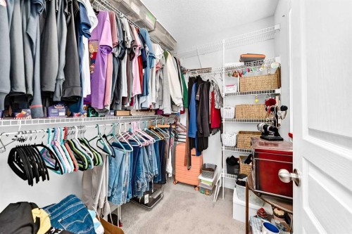 302 Sunset Point, Cochrane, AB - Indoor With Storage