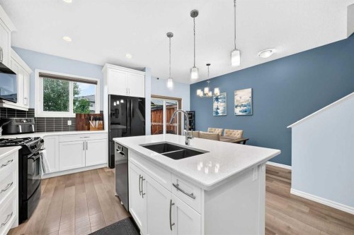 230 Legacy Mews Se, Calgary, AB - Indoor Photo Showing Kitchen With Double Sink With Upgraded Kitchen