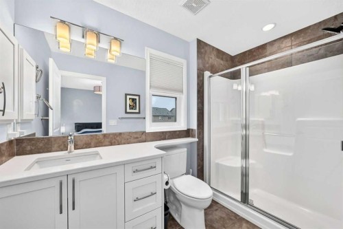 230 Legacy Mews Se, Calgary, AB - Indoor Photo Showing Bathroom