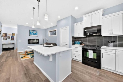 230 Legacy Mews Se, Calgary, AB - Indoor Photo Showing Kitchen With Upgraded Kitchen