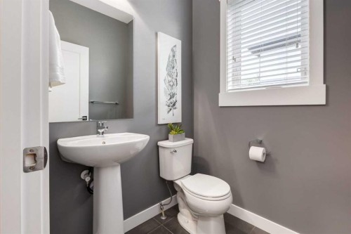 17-111 Rainbow Falls Gate, Chestermere, AB - Indoor Photo Showing Bathroom