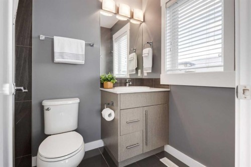 17-111 Rainbow Falls Gate, Chestermere, AB - Indoor Photo Showing Bathroom
