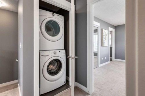 17-111 Rainbow Falls Gate, Chestermere, AB - Indoor Photo Showing Laundry Room