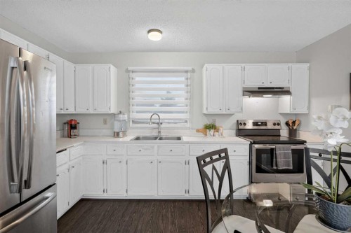 3881 Fonda Way Se, Calgary, AB - Indoor Photo Showing Kitchen With Double Sink With Upgraded Kitchen