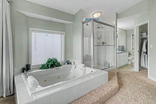 43 Riverside Road Se, Calgary, AB - Indoor Photo Showing Bathroom