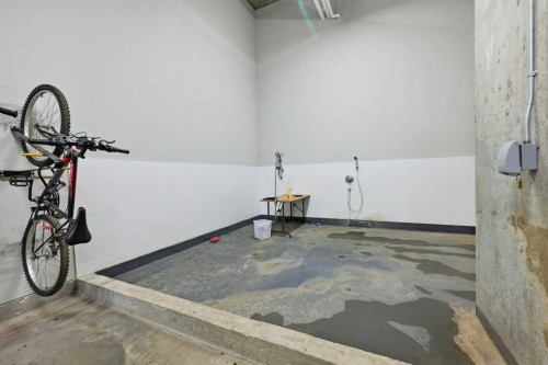 1009-624 8 Avenue Se, Calgary, AB - Indoor Photo Showing Garage