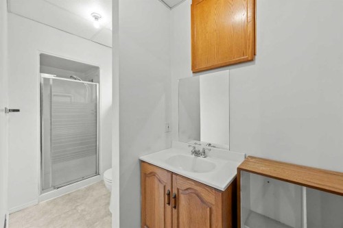 147 Whitlock Close Ne, Calgary, AB - Indoor Photo Showing Bathroom