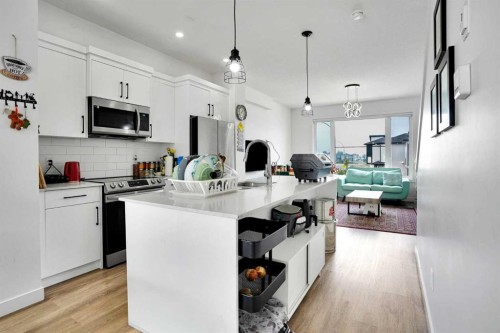241 Saddlepeace Crescent Ne, Calgary, AB - Indoor Photo Showing Kitchen With Upgraded Kitchen