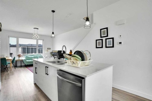 241 Saddlepeace Crescent Ne, Calgary, AB - Indoor Photo Showing Kitchen With Double Sink