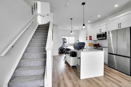 241 Saddlepeace Crescent Ne, Calgary, AB - Indoor Photo Showing Kitchen