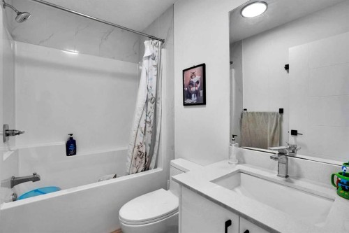 241 Saddlepeace Crescent Ne, Calgary, AB - Indoor Photo Showing Bathroom