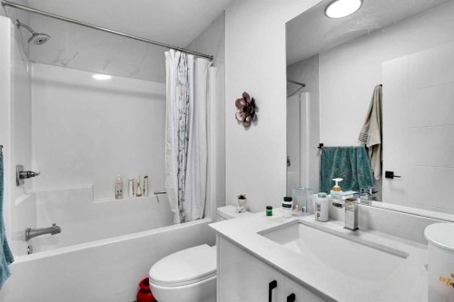 241 Saddlepeace Crescent Ne, Calgary, AB - Indoor Photo Showing Bathroom