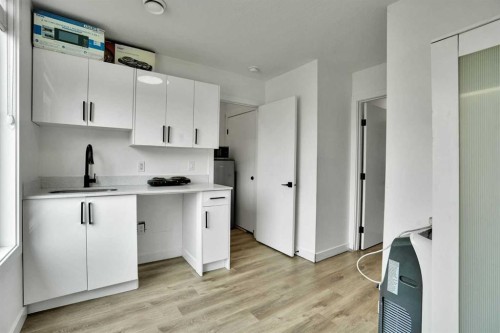241 Saddlepeace Crescent Ne, Calgary, AB - Indoor Photo Showing Kitchen