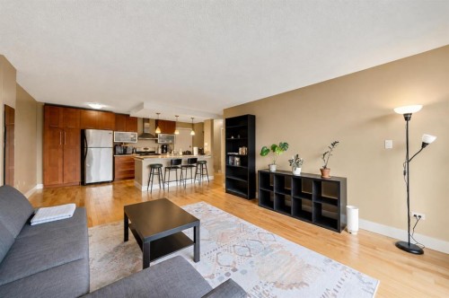 408-1027 Cameron Avenue Sw, Calgary, AB - Indoor Photo Showing Living Room