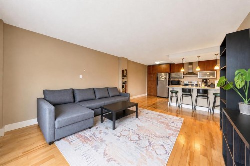 408-1027 Cameron Avenue Sw, Calgary, AB - Indoor Photo Showing Living Room