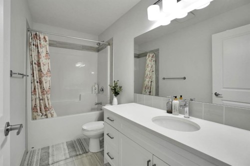 159 Hotchkiss Manor Se, Calgary, AB - Indoor Photo Showing Bathroom